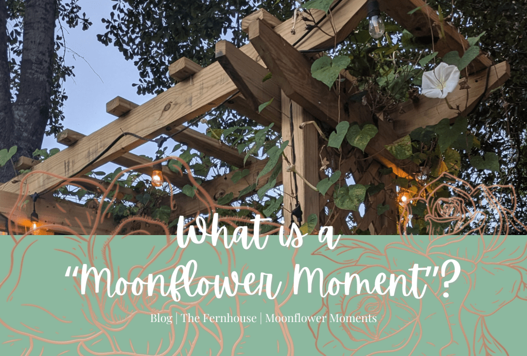What is a Moonflower&nbsp;Moment?