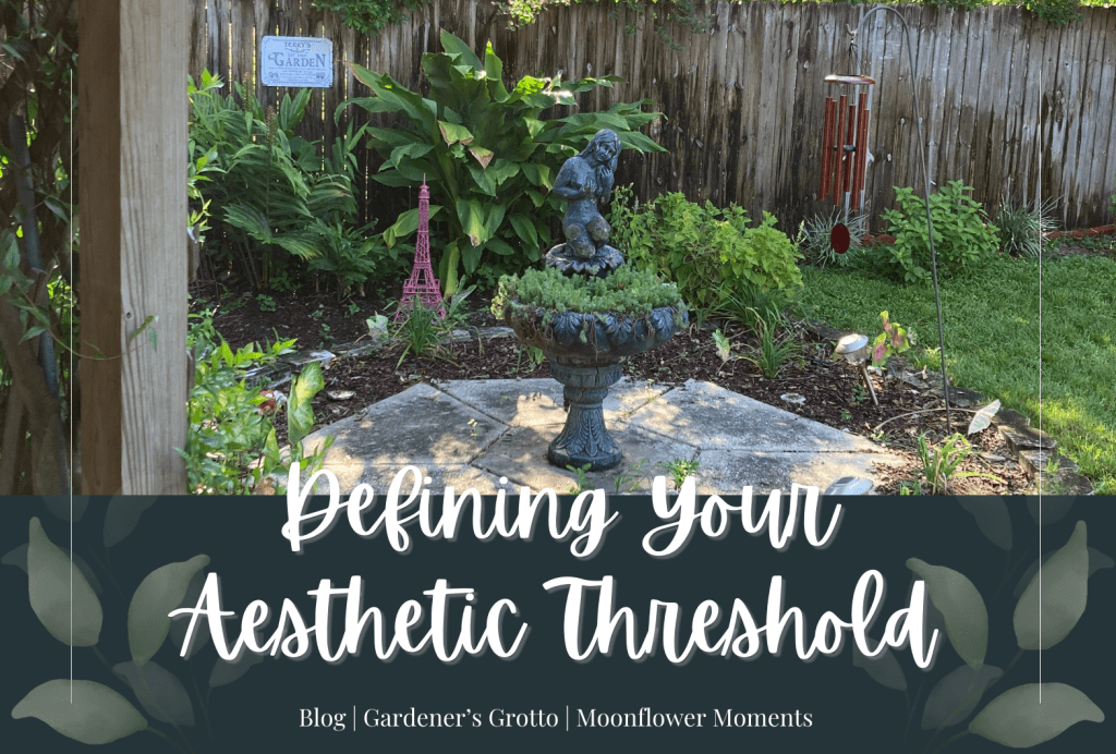 Defining Your Aesthetic&nbsp;Threshold