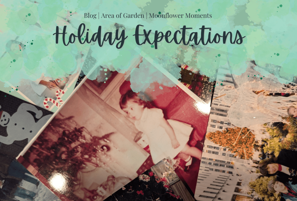 Holiday Expectations