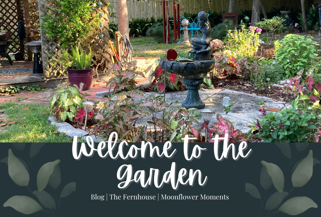 Welcome to my&nbsp;Garden