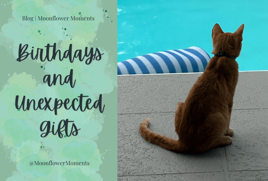 Birthdays ands Unexpected&nbsp;Gifts